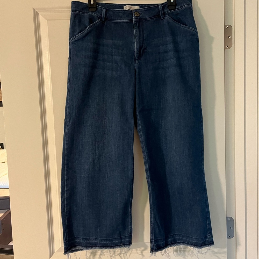J. Jill Women's Indigo Ankle Jeans